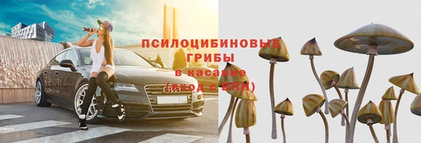 а пвп мука Аркадак