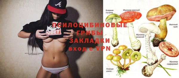 прущие крисы Ладушкин