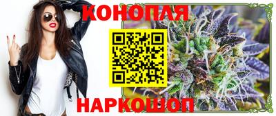 спиды Аргун