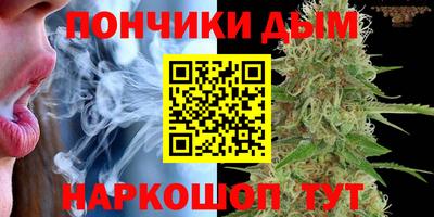 спиды Аргун