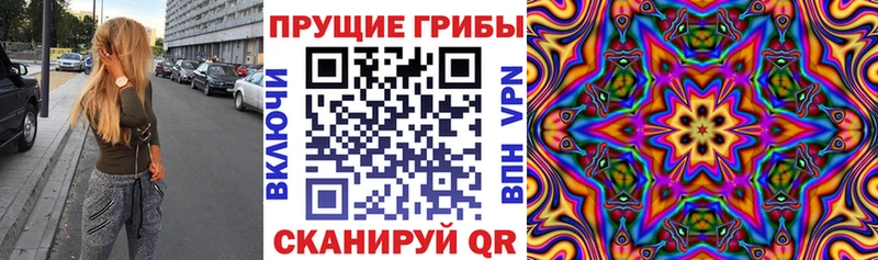 Псилоцибиновые грибы Magic Shrooms  купить наркоту  Уссурийск 