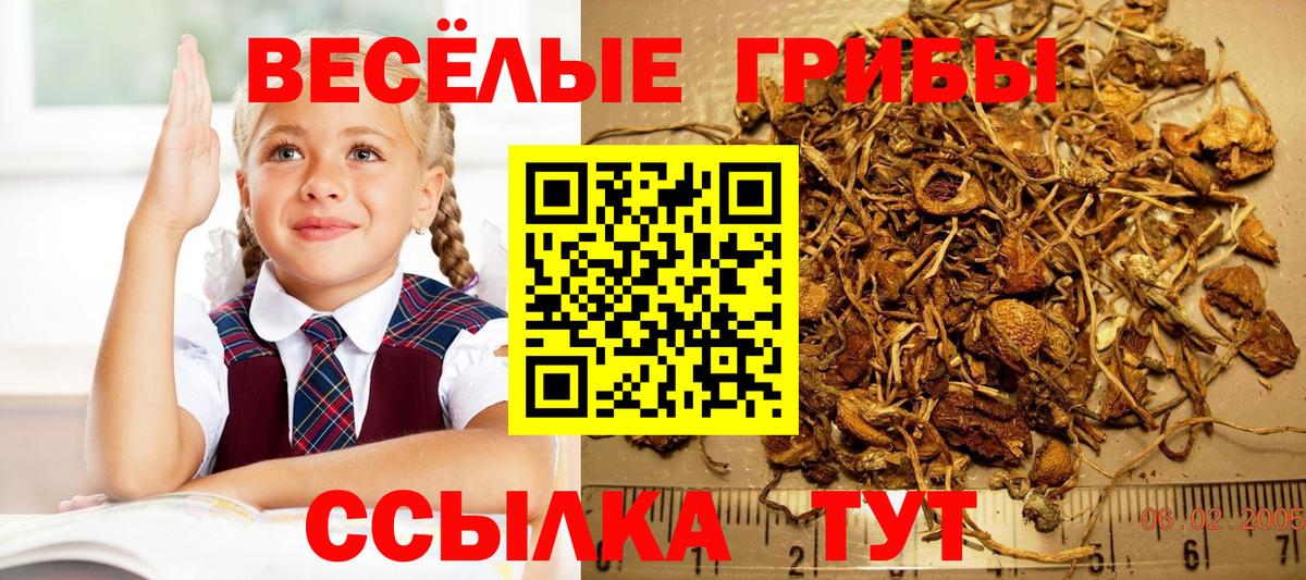 Галлюциногенные грибы MAGIC MUSHROOMS Уссурийск