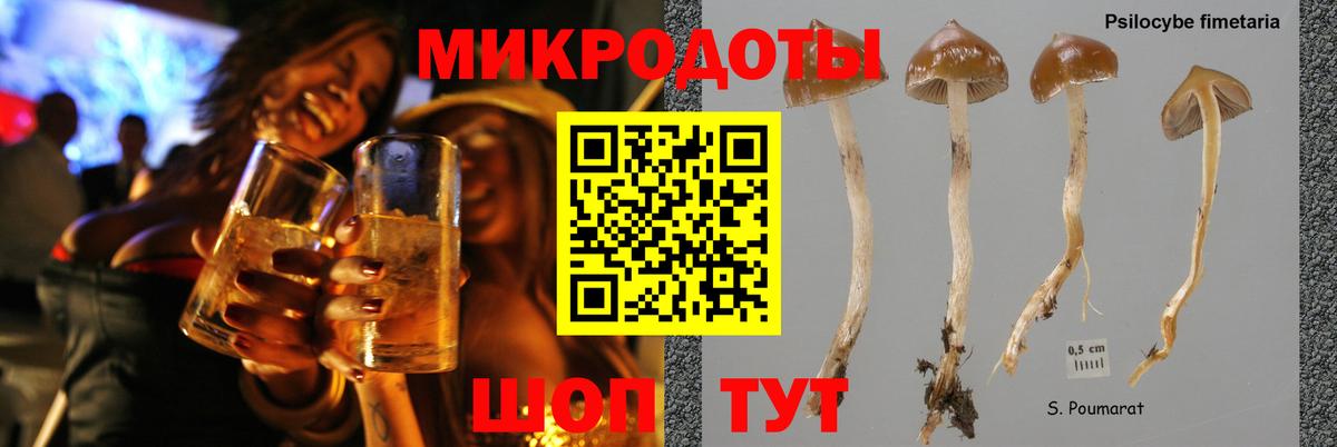 LSD-25 Уссурийск